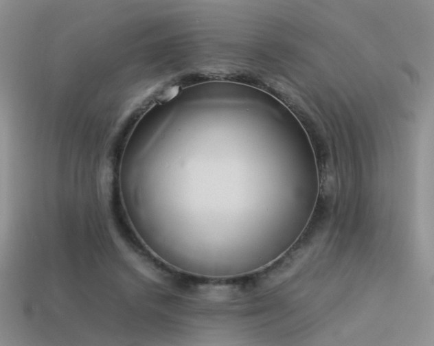 X0000114150448200910151548
