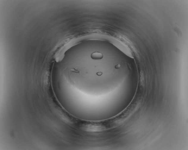 X0000114150449200910151548