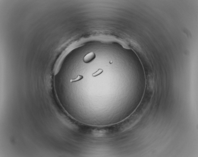 X0000114150450200910151548