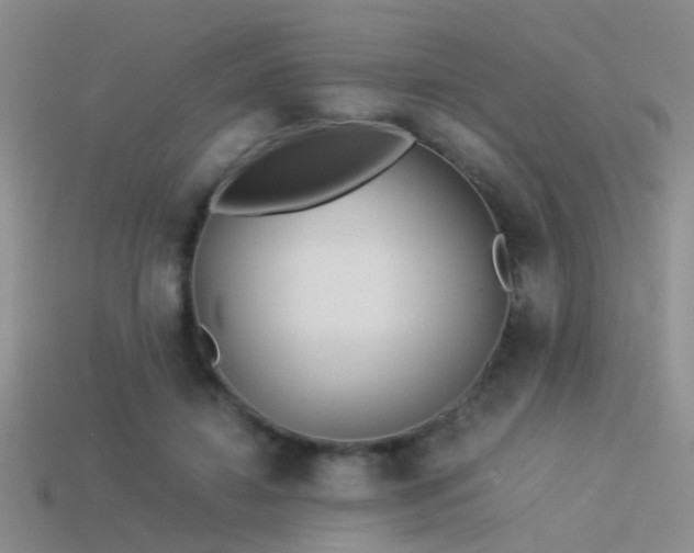 X0000114150452200910151548