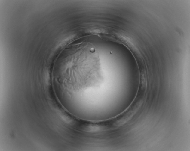 X0000114150453200910151548