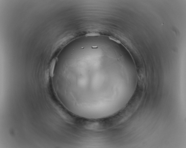 X0000114150454200910151548