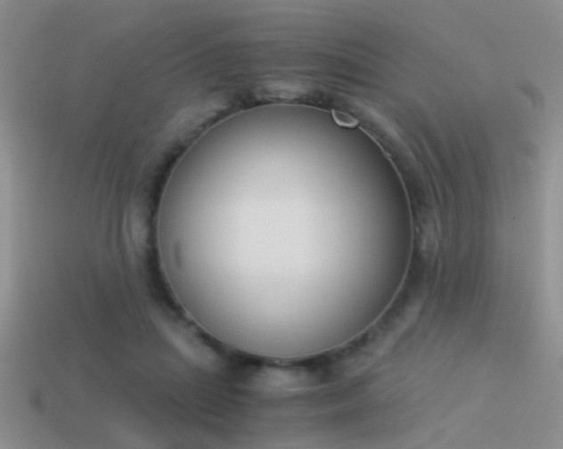 X0000114150455200910151548