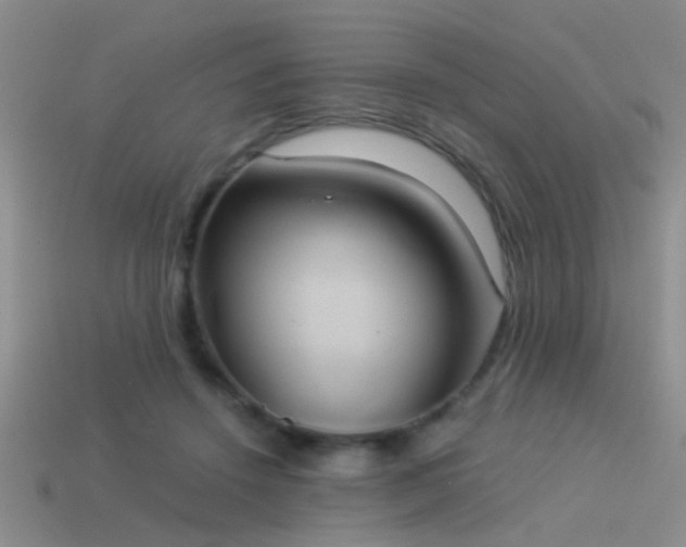 X0000114150456200910151548