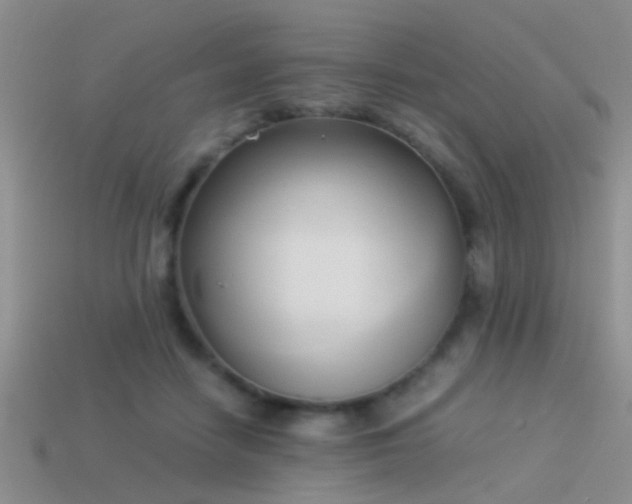 X0000114150458200910151548