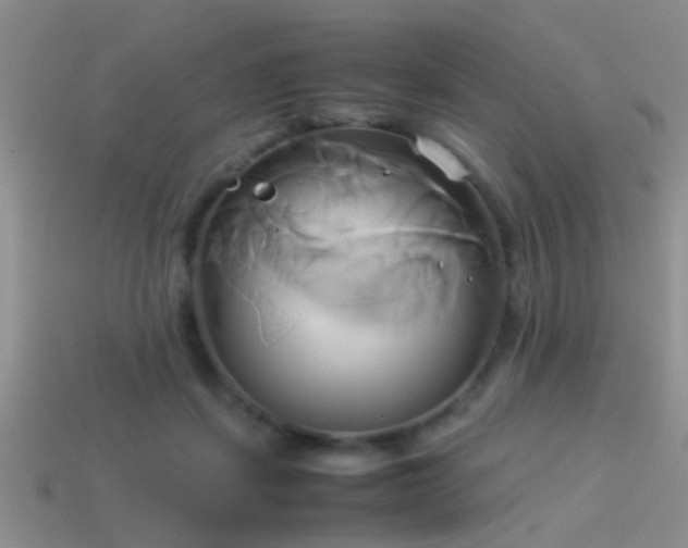 X0000114150459200910151548