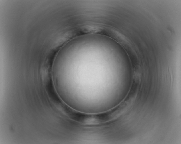 X0000114150460200910151548