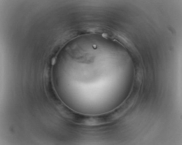 X0000114150461200910151548