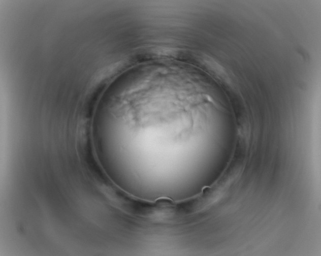 X0000114150462200910151548