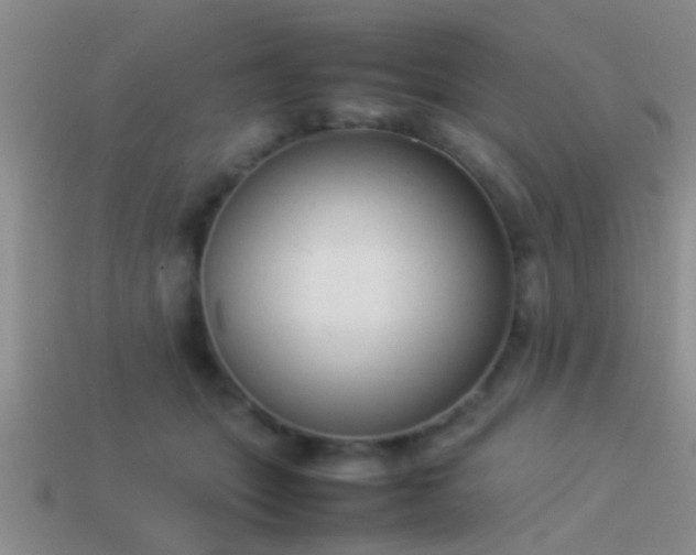 X0000114150463200910151548
