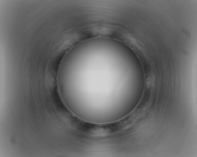 X0000114150464200910151548