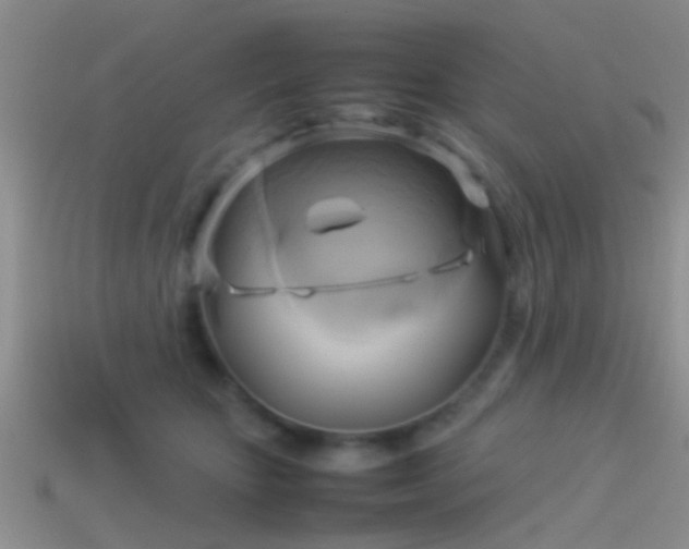 X0000114150467200910151548