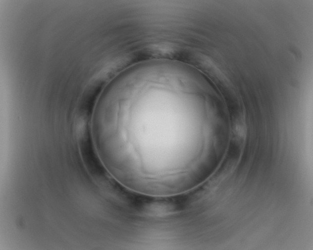 X0000114150468200910151548