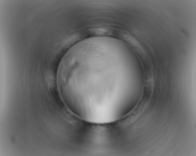 X0000114150469200910151548