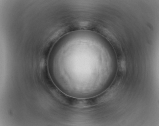 X0000114150472200910151548