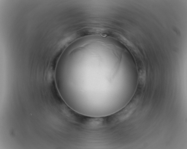 X0000114150474200910151548