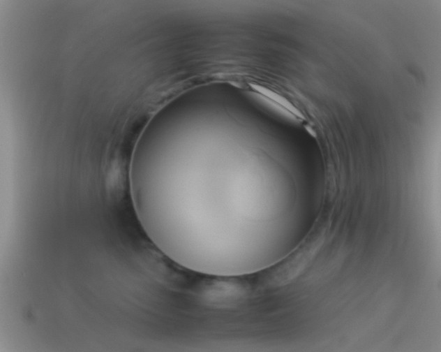 X0000114150475200910151548