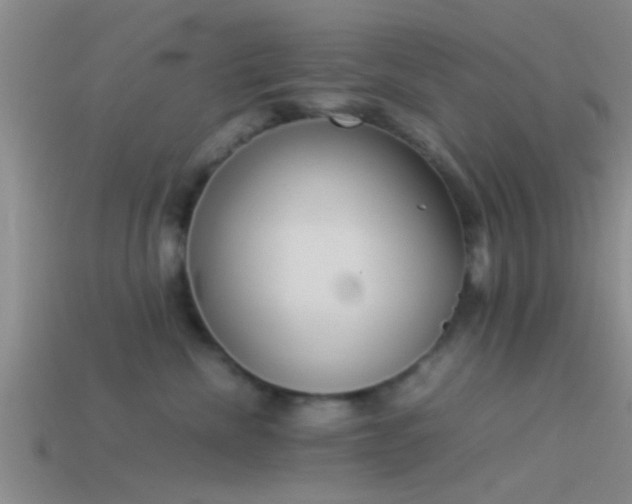 X0000114150476200910151548