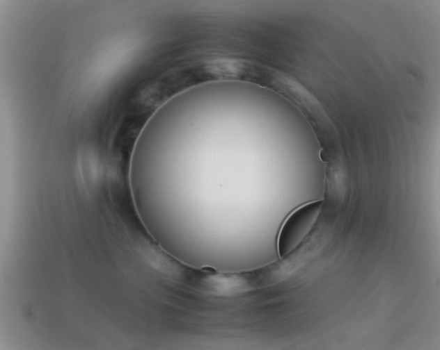 X0000114150477200910151548