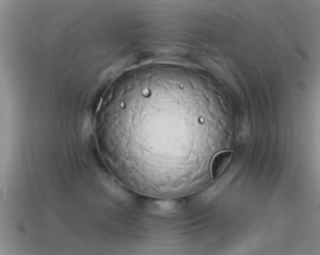X0000114150478200910151548