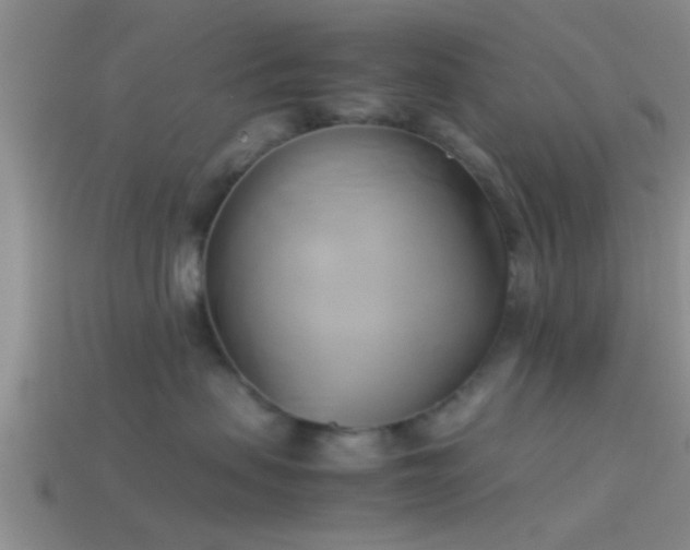 X0000114150479200910151548