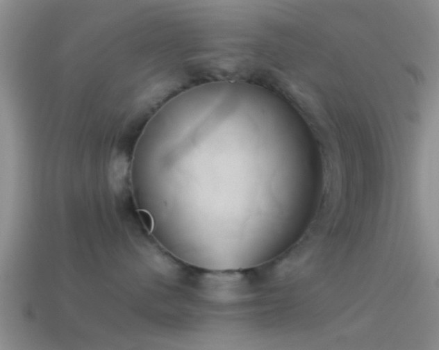 X0000114150480200910151548