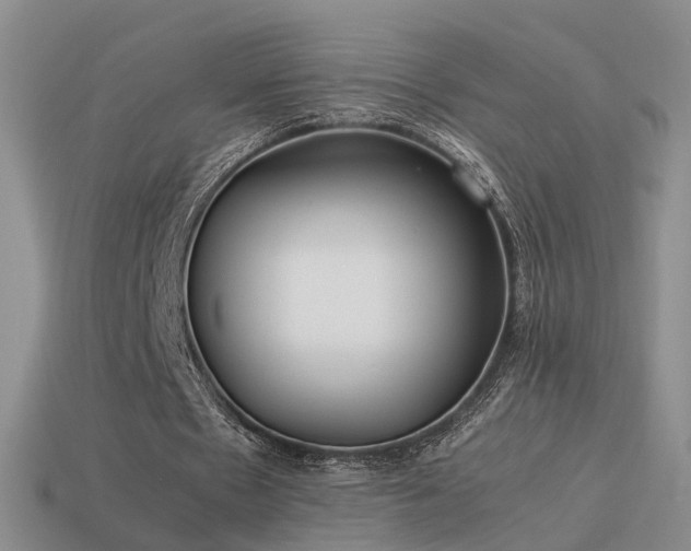 X0000114150481200910151547