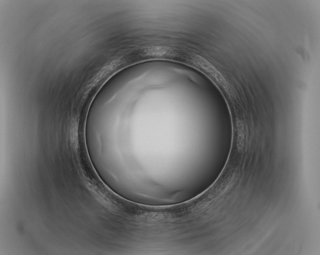 X0000114150482200910151547