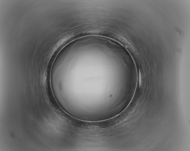 X0000114150483200910151547