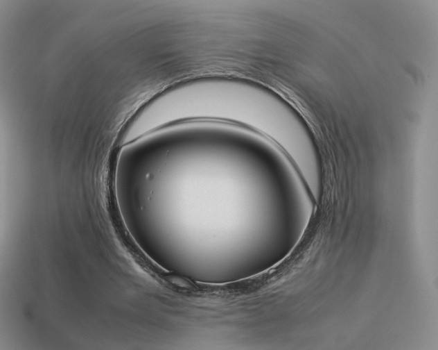 X0000114150485200910151547