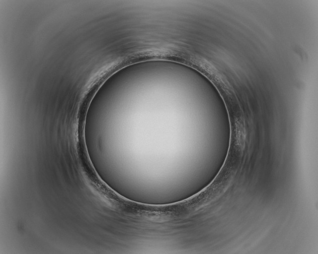 X0000114150486200910151547