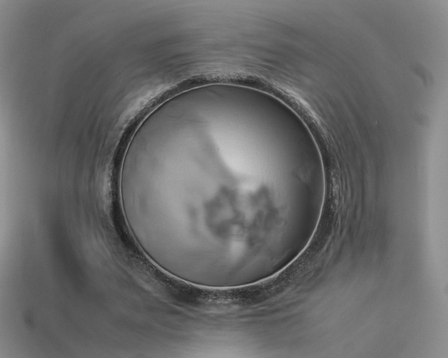 X0000114150487200910151547