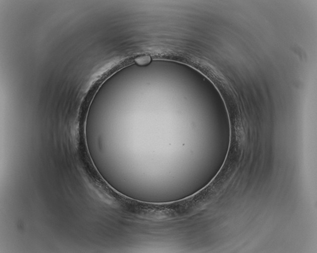X0000114150488200910151547