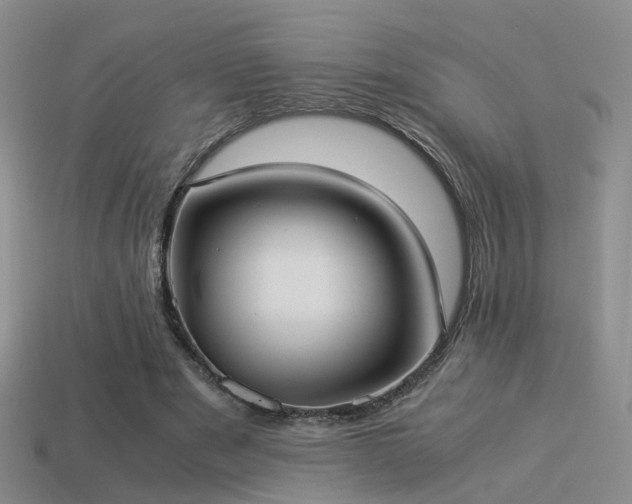 X0000114150489200910151547