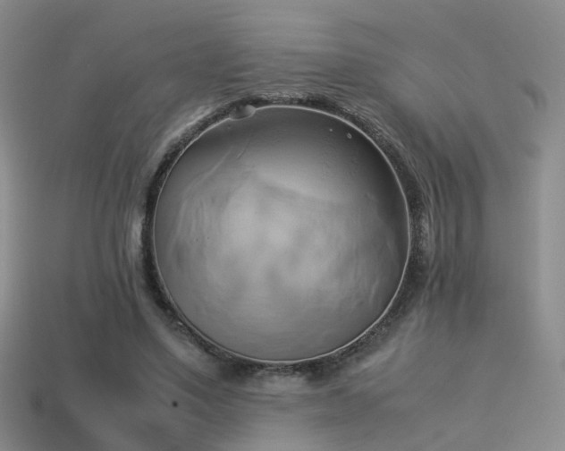 X0000114150491200910151547