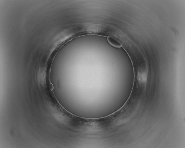 X0000114150492200910151547