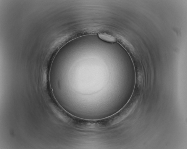 X0000114150493200910151547