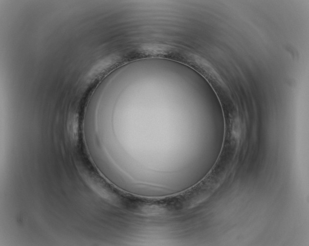 X0000114150494200910151547