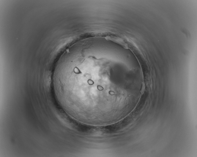 X0000114150495200910151547