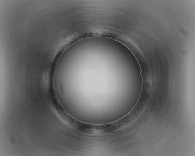 X0000114150496200910151547