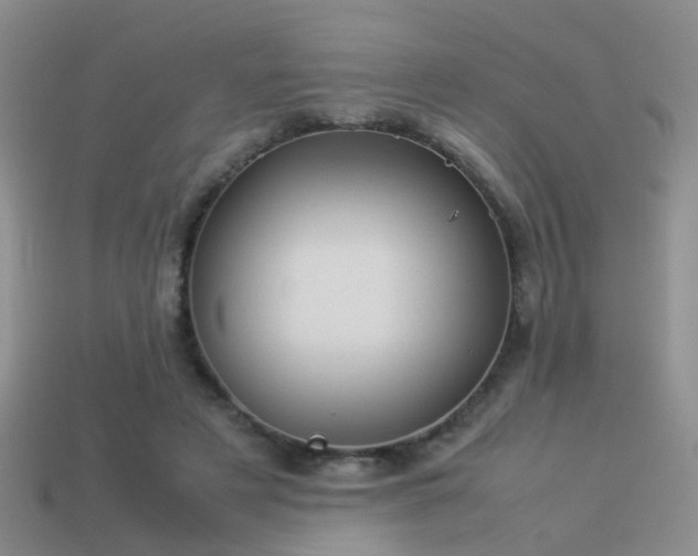 X0000114150497200910151547