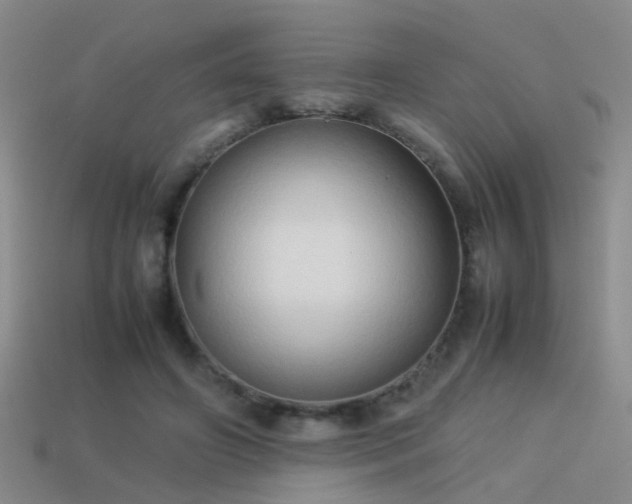 X0000114150498200910151547
