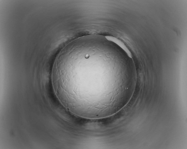 X0000114150499200910151547