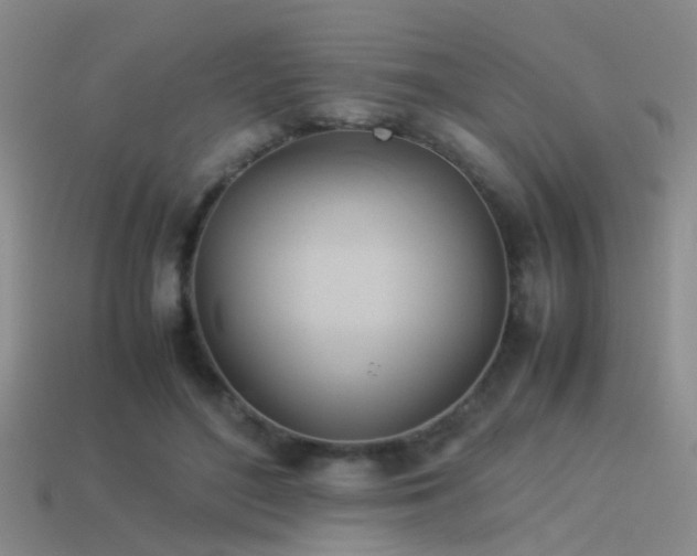 X0000114150500200910151547