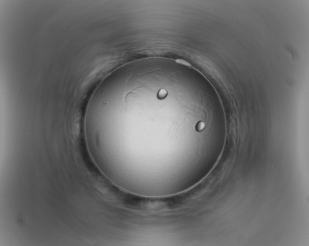 X0000114150501200910151547