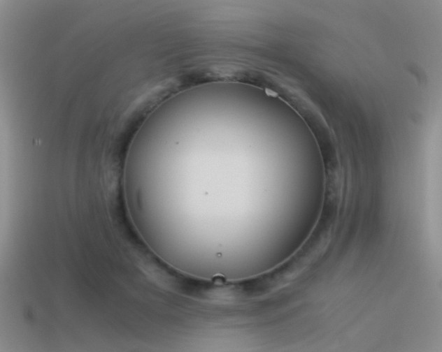X0000114150505200910151547