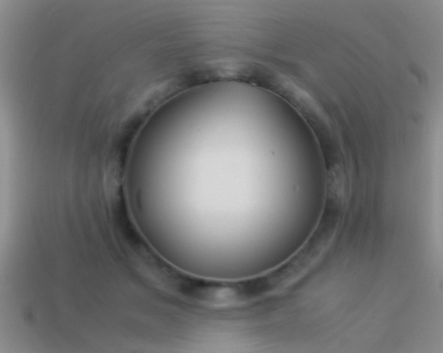 X0000114150509200910151547