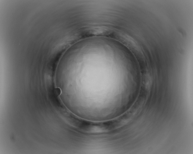 X0000114150510200910151547