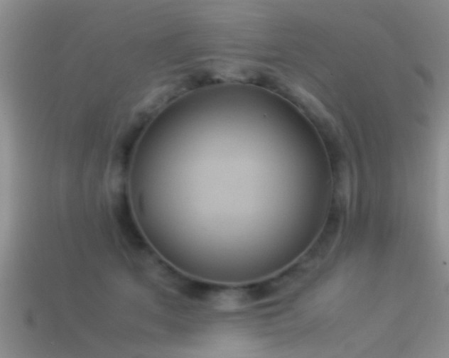 X0000114150513200910151547