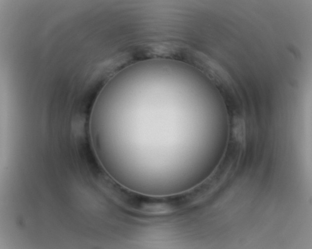 X0000114150514200910151547
